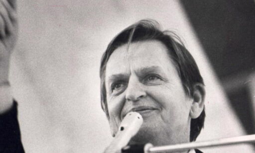 Dette er de største Palme-gåtene