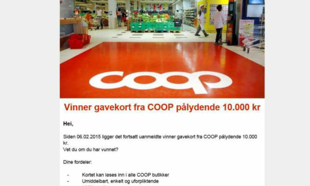 Slik jakter nettsvindlere på dine personopplysninger