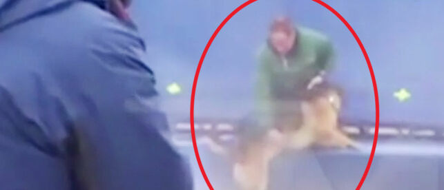 Slår tilbake etter hundeskandale:- Videoen forteller ikke hele historien