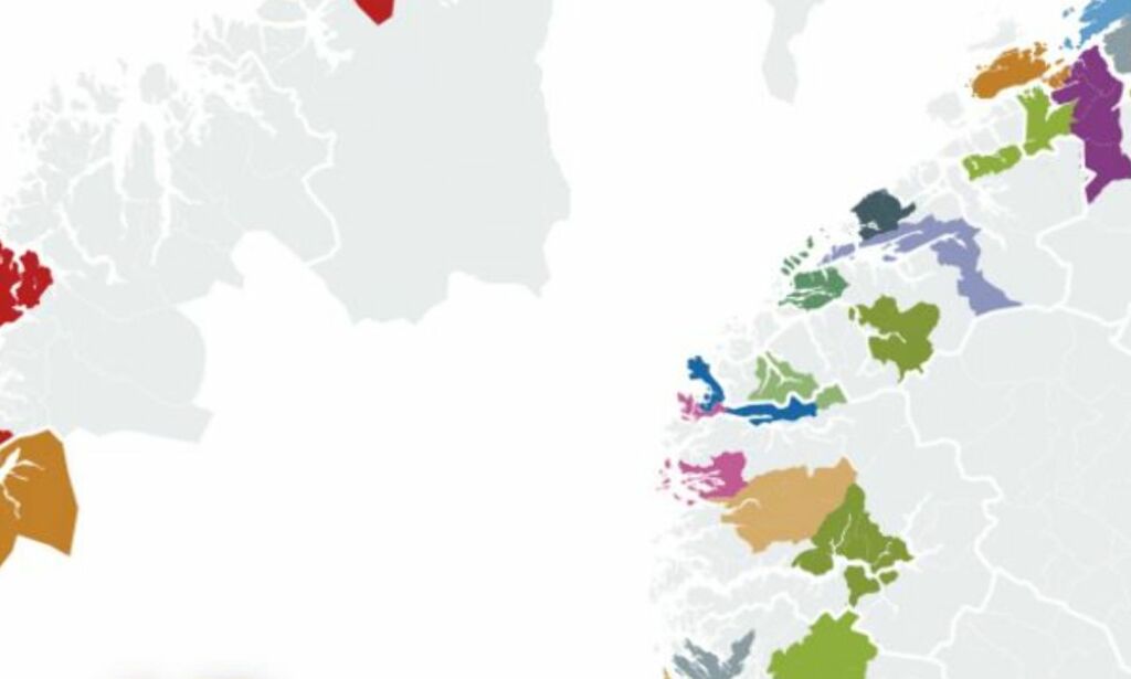 Nå har politikerne bestemt seg: Disse kommunene tvinges