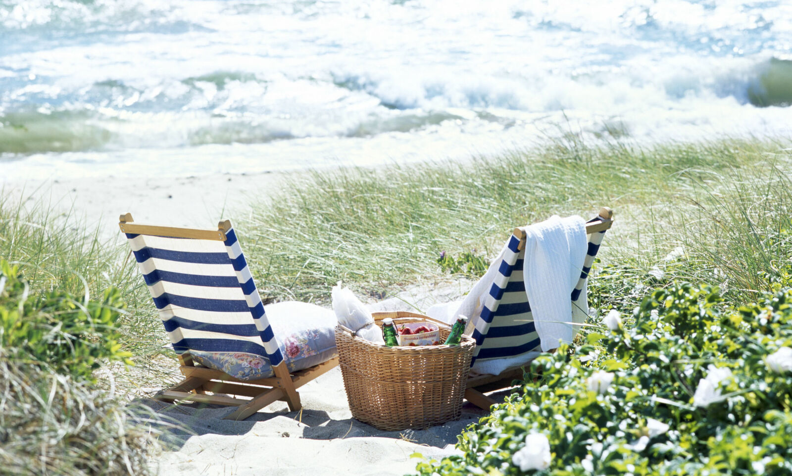 VILT OG VAKKERT: Sandhammaren omtales ofte som en av de aller beste strendene i Sverige. Det er lett å se hvorfor! Foto: Helene Toresdotter VILT OG VAKKERT: Sandhammaren omtales ofte som en av de aller beste strendene i Sverige. Det er lett å se hvorfor! Foto: Helene Toresdotter