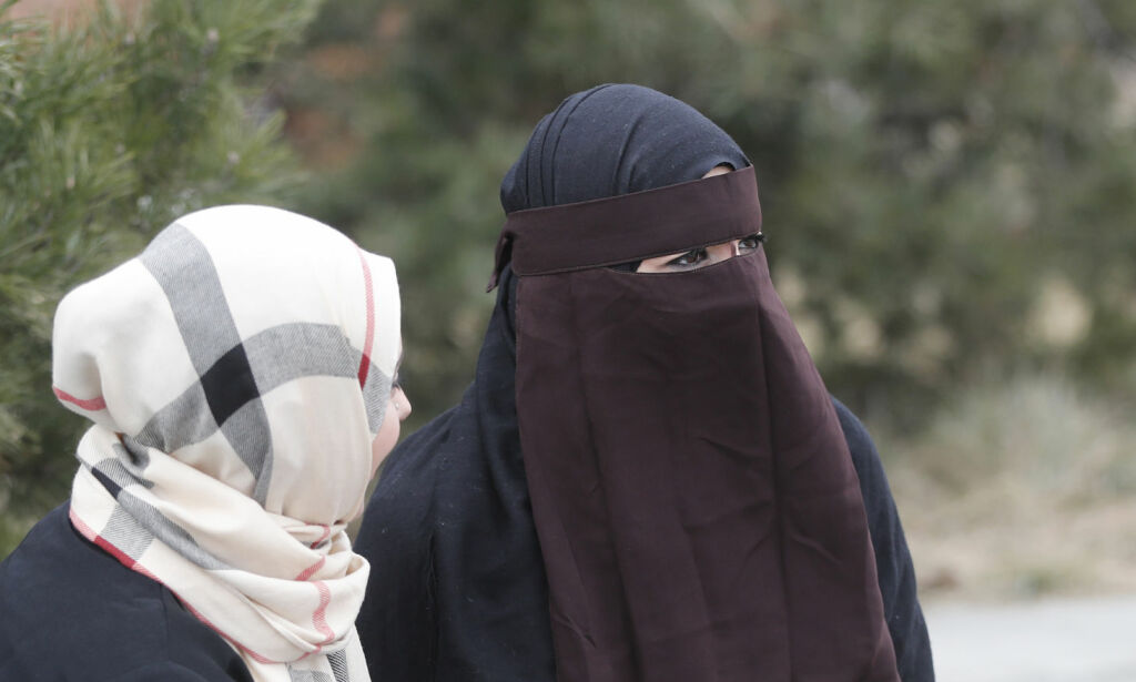 Norsk studentorganisasjon om nikab-forbud: - Det blir helt feil