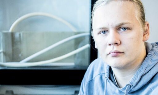 Slakter spesial-undervisningen i norsk skole