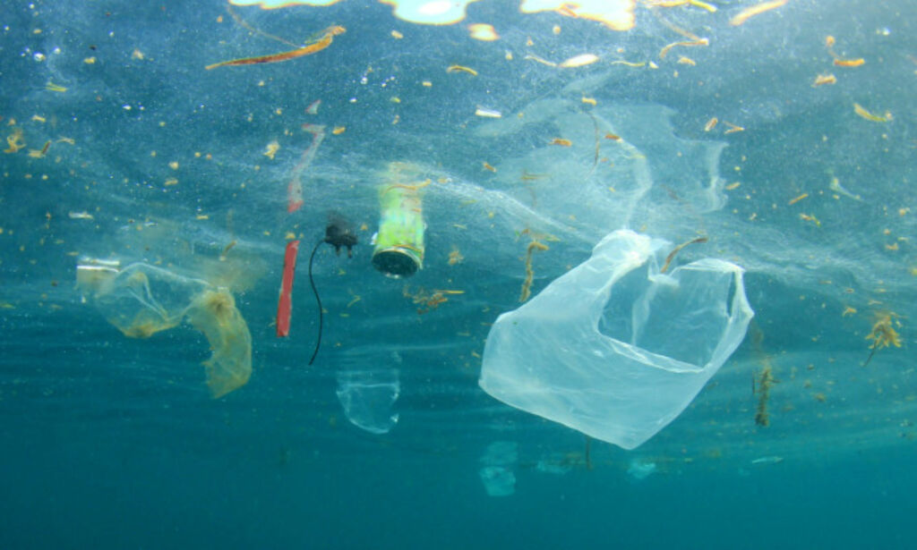 Forskere: Har funnet plast i krepsdyr som lever i de mest skjulte stedene i Stillehavet