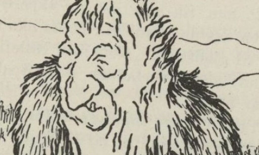 Monstre i norsk strafferettspleie
