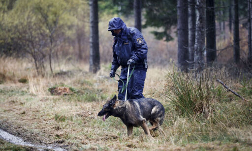 Svensk politi desperate etter tips etter drapet på kvinnelig jogger:- Kan ha ventet på et offer