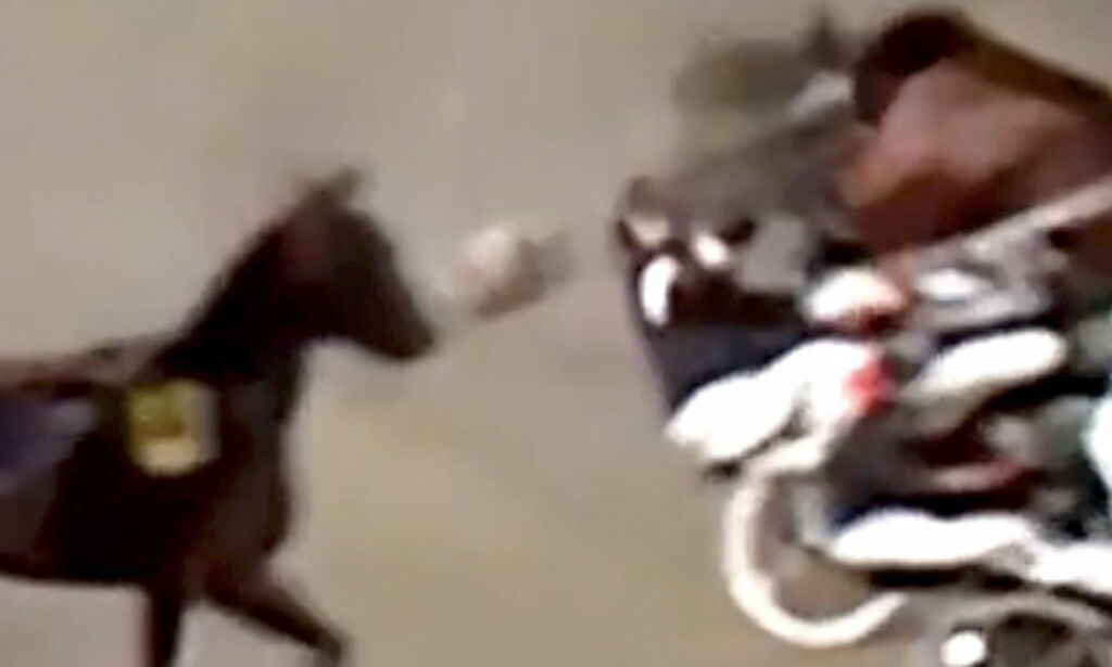 Hest sparket kusk i hodet, så hjelmen fløy av gårde