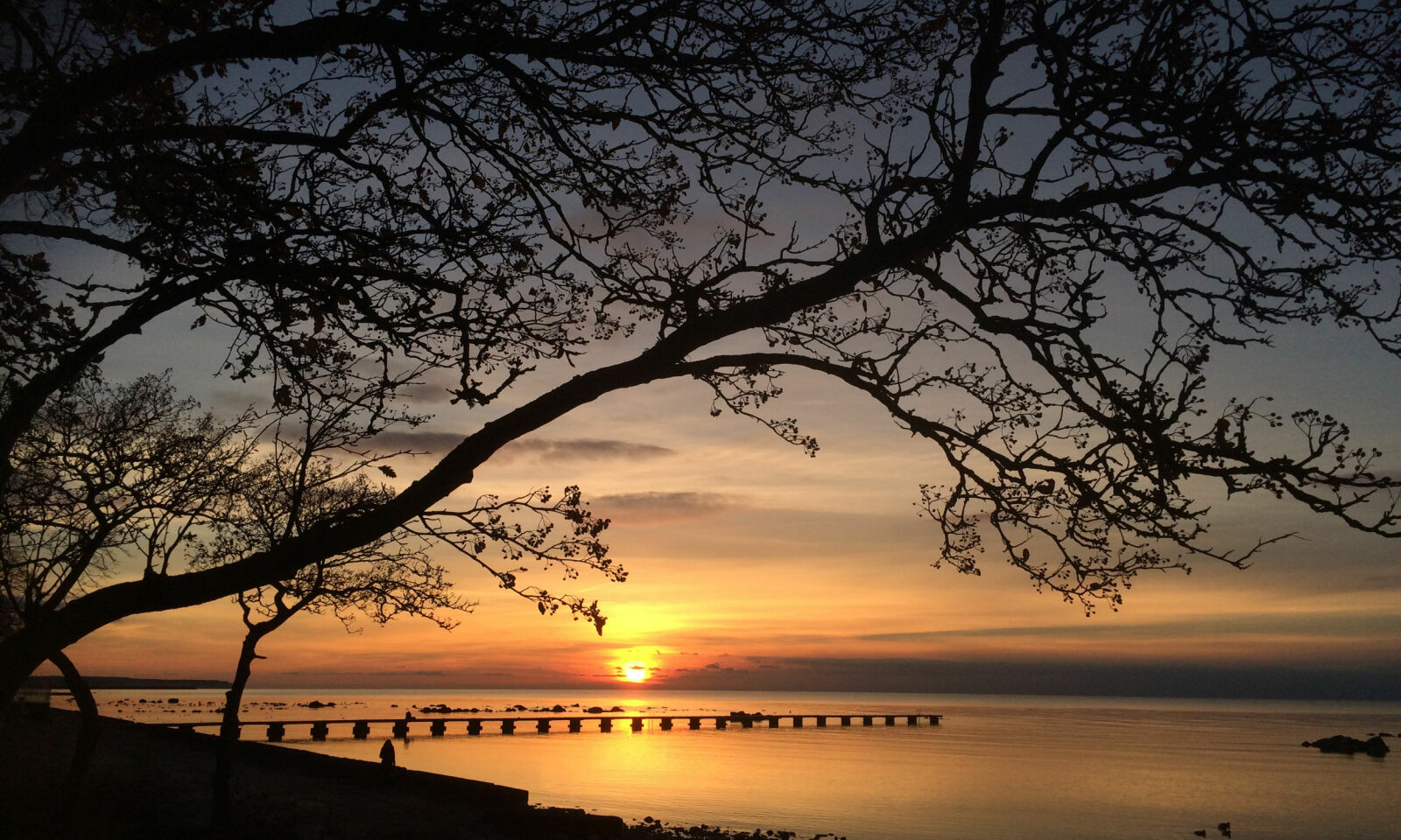 STORSLÅTT: Strandpromenaden er en fem kilometer lang gå- og sykkelvei på Visby, som vil gi deg nydelige naturopplevelser. Foto: Gotland.net STORSLÅTT: Strandpromenaden er en fem kilometer lang gå- og sykkelvei på Visby, som vil gi deg nydelige naturopplevelser. Foto: Gotland.net