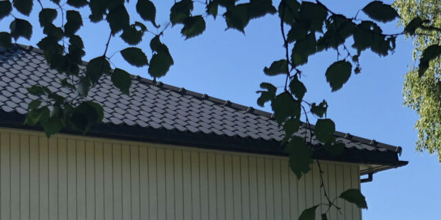 66-åring skal ha holdt mann i 40-åra fanget i to år. Naboene er sjokkert