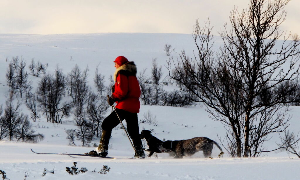 Været: Noen kan få opp mot 40-50 cm snø