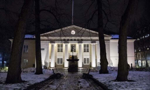 2019: Slik investerer du i grisens år