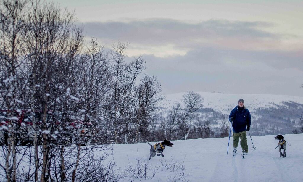Venter kuldeperiode flere steder i landet